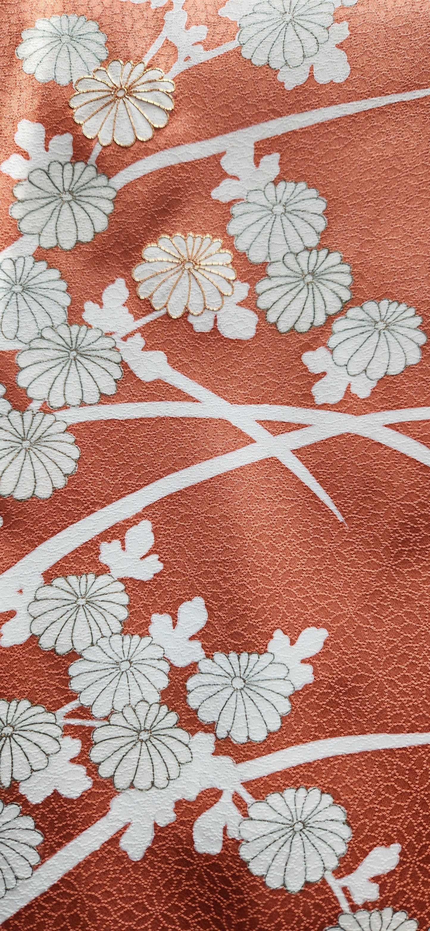 Scattered Kiku (Chrysanthemum)